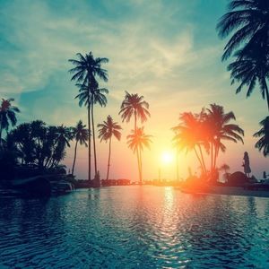 Meet your Posher, Jumainah